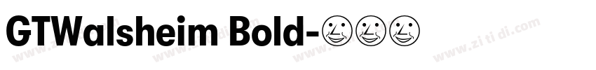 GTWalsheim Bold字体转换 GTWalsheim Bold字体转换